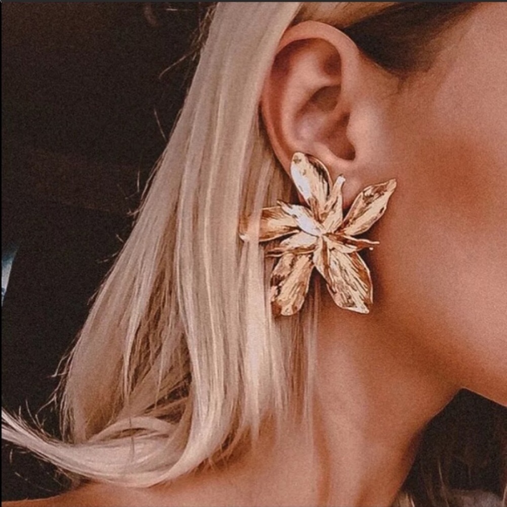 NWOT EARRINGS